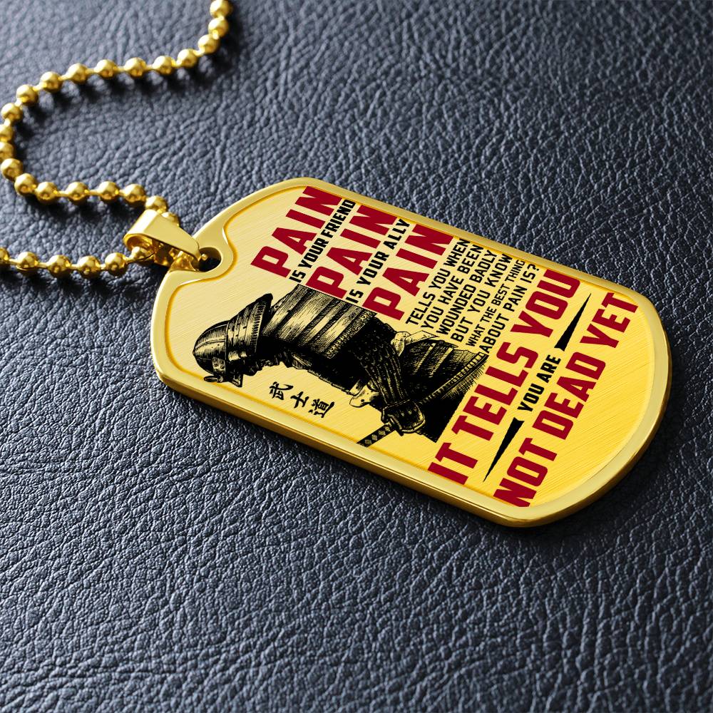 Samurai - PAIN - You Are Not Dead Yet 2 - Bushido - Katana - Ronin - Samurai Dog Tag - Military Ball Chain - Luxury Dog Tag
