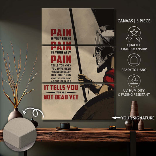 Spartan Warrior - 3 Piece Wall Art - WA011 - PAIN - You Are Not Dead Yet - Sparta - Leonidas - Gladiator - Spartan Warrior Canvas