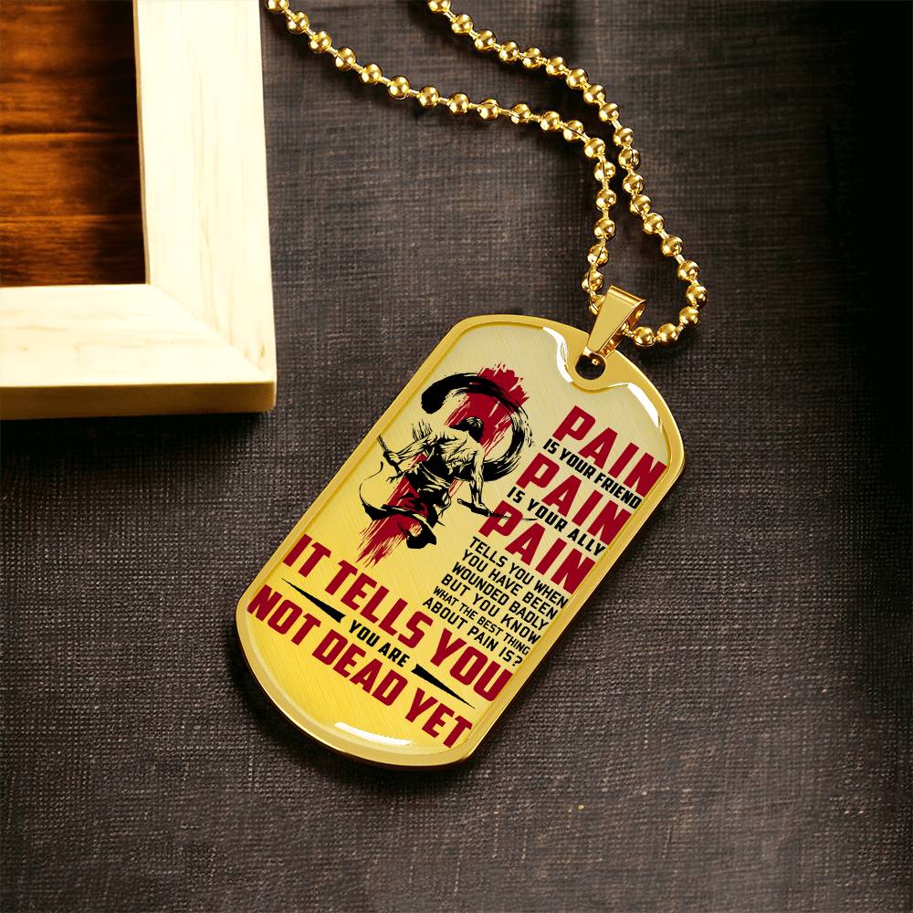 Samurai - PAIN - You Are Not Dead Yet - Bushido - Katana - Ronin - Samurai Dog Tag - Military Ball Chain - Luxury Dog Tag