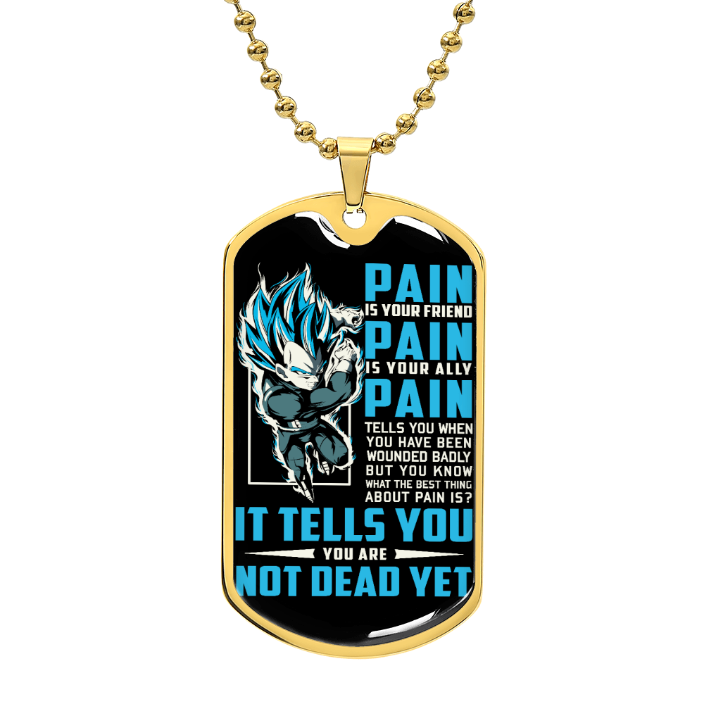 Dragon Ball - PAIN - You Are Not Dead Yet - Vegeta - Supper Saiyan Blue - Black Dog Tag - Dragon Ball Dog Tag - Military Ball Chain - Luxury Dog Tag