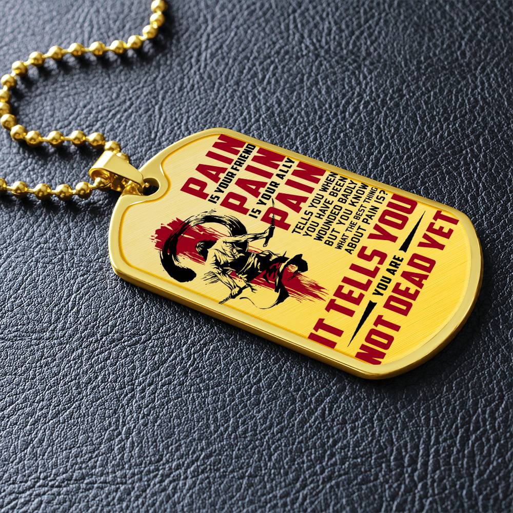 Samurai - PAIN - You Are Not Dead Yet - Bushido - Katana - Ronin - Samurai Dog Tag - Military Ball Chain - Luxury Dog Tag