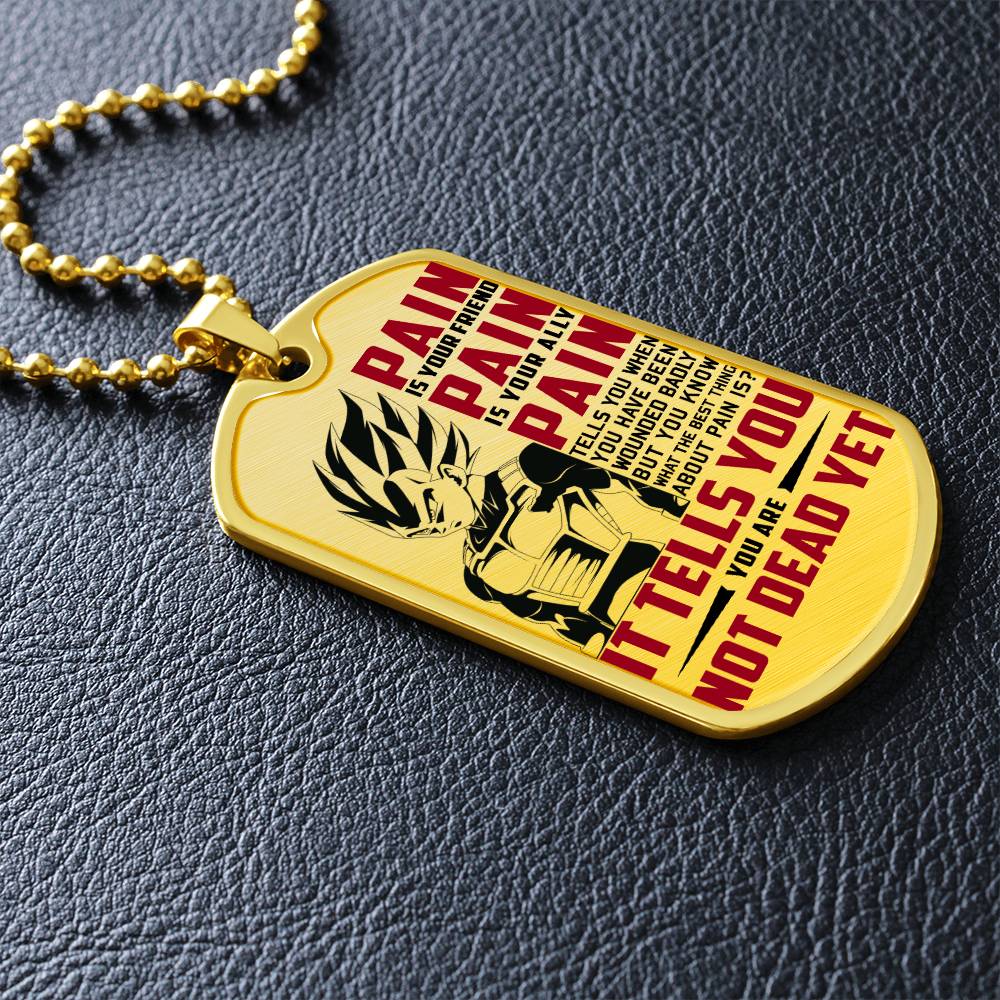 Dragon Ball - PAIN - You Are Not Dead Yet - Vegeta - Supper Saiyan Blue - Dragon Ball Dog Tag - Military Ball Chain - Luxury Dog Tag