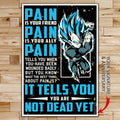 DR057 - PAIN - You Are Not Dead Yet - Vegeta - Super Saiyan Blue - Vertical Poster - Vertical Canvas - Dragon Ball Poster